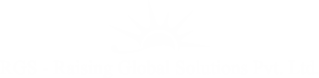 RGS-Raising Global Solutions Pvt Ltd